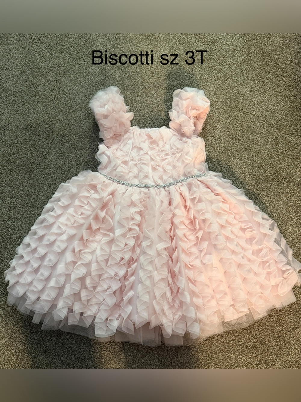 Biscotti Light Pink Ruffle sz 3T Special Occasion Dress
